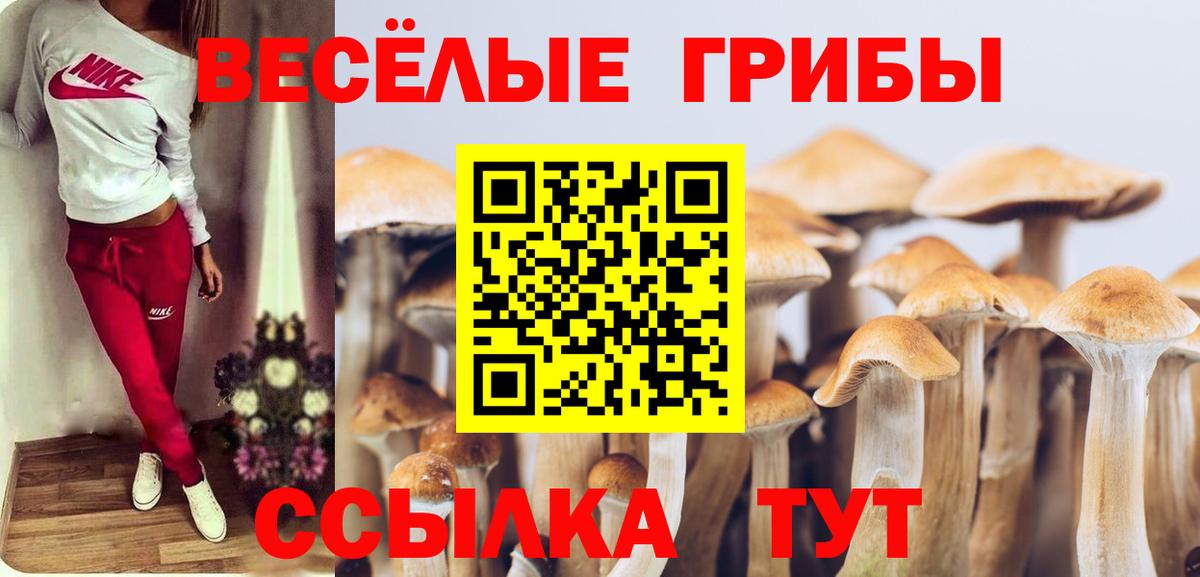 Галлюциногенные грибы прущие грибы  Вход с VPN  Ирбит 